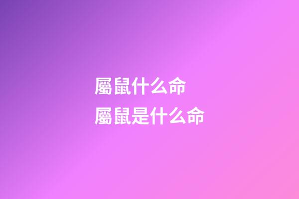 屬鼠什么命 屬鼠是什么命-第1張-觀點-玄機派